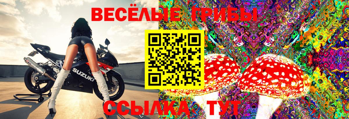 Галлюциногенные грибы Psilocybine cubensis Новоуральск